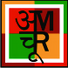 Amchoor